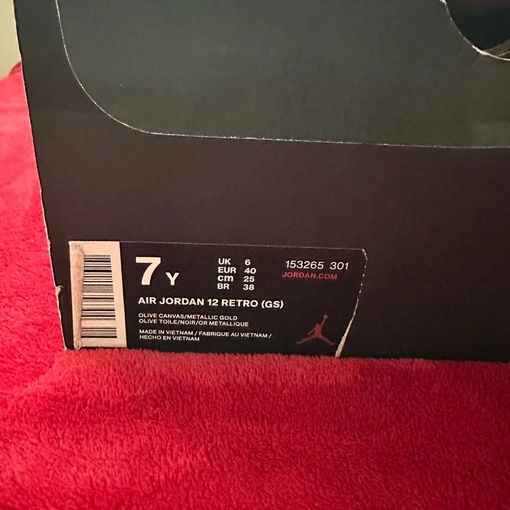 Jordan 12 Retro